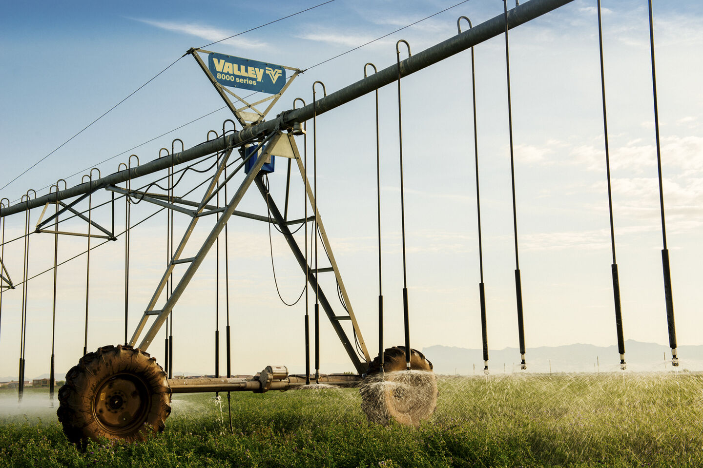 irrigation