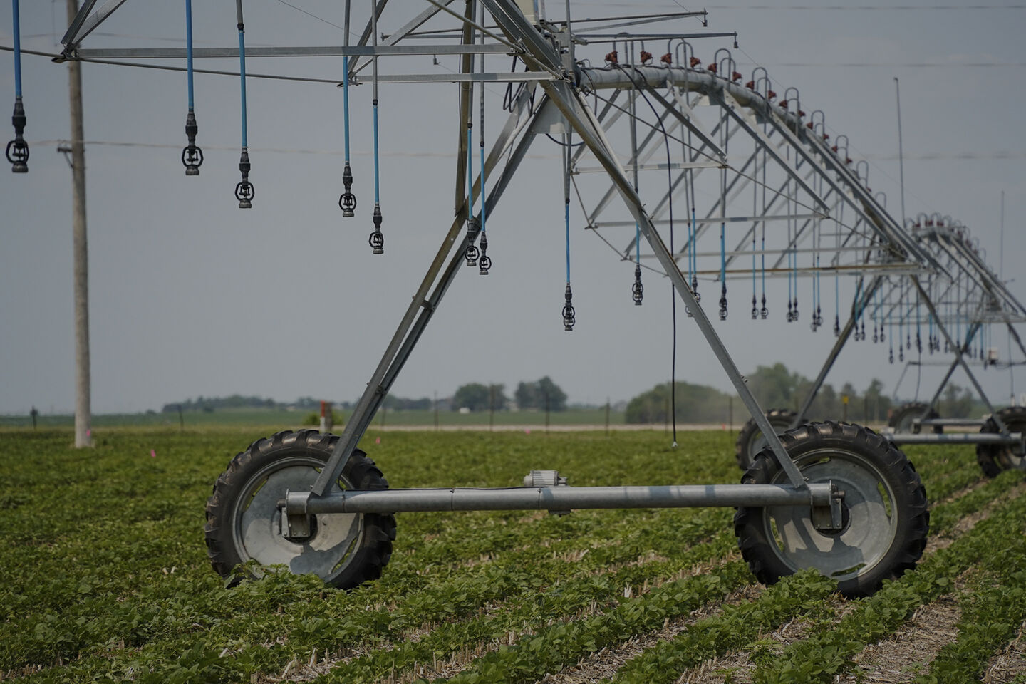 Irrigation