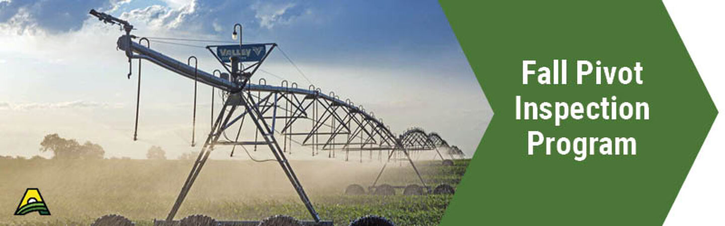 Irrigation Inspection