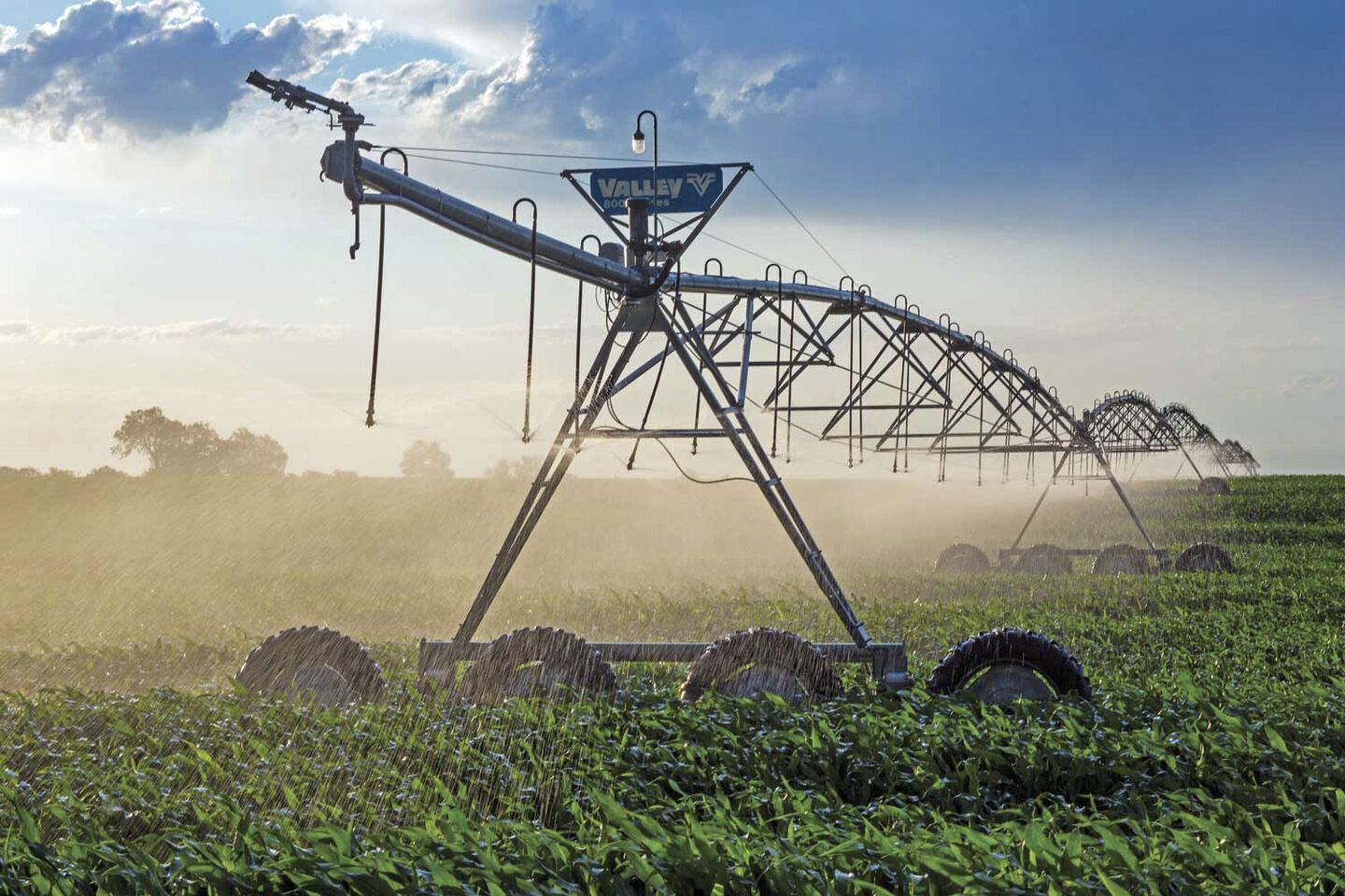 Irrigation