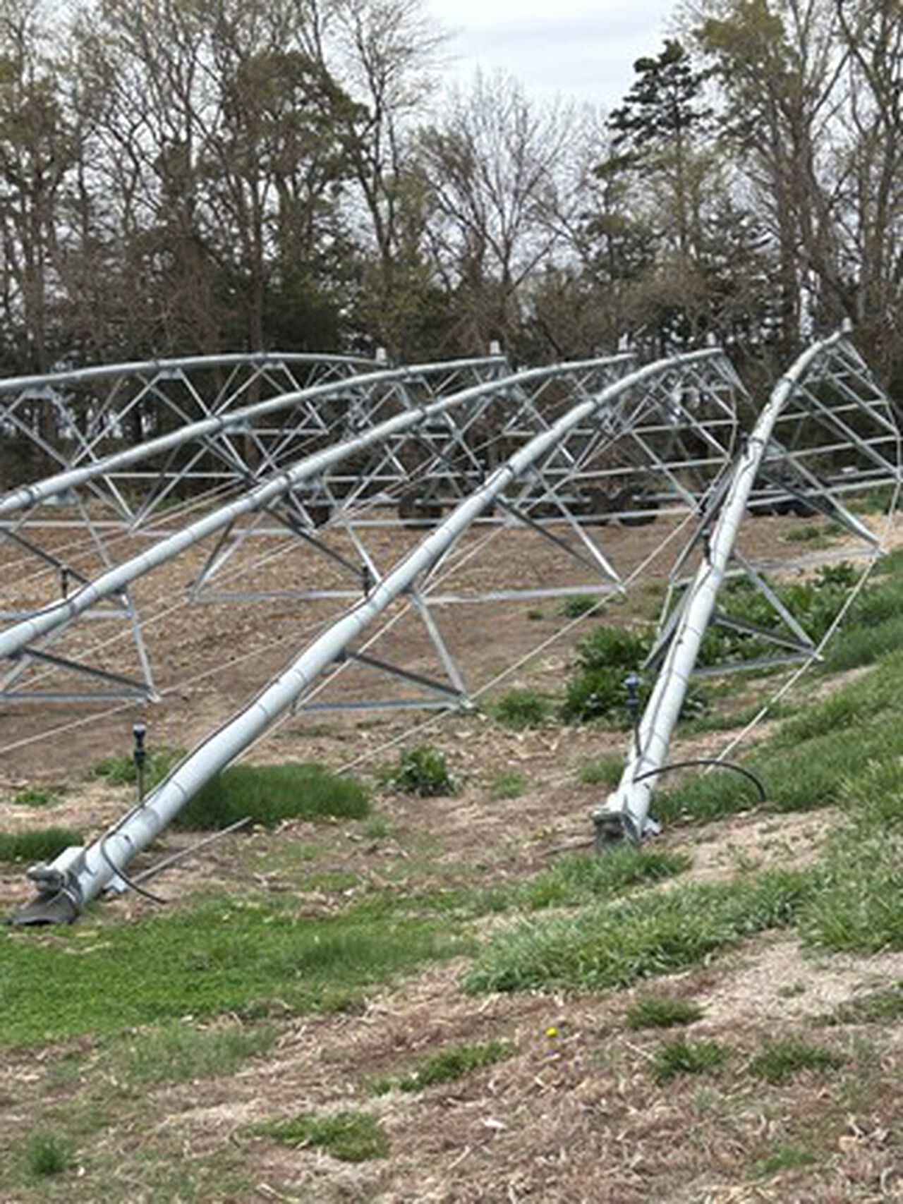 2006 8000 - 439645,  image number 7