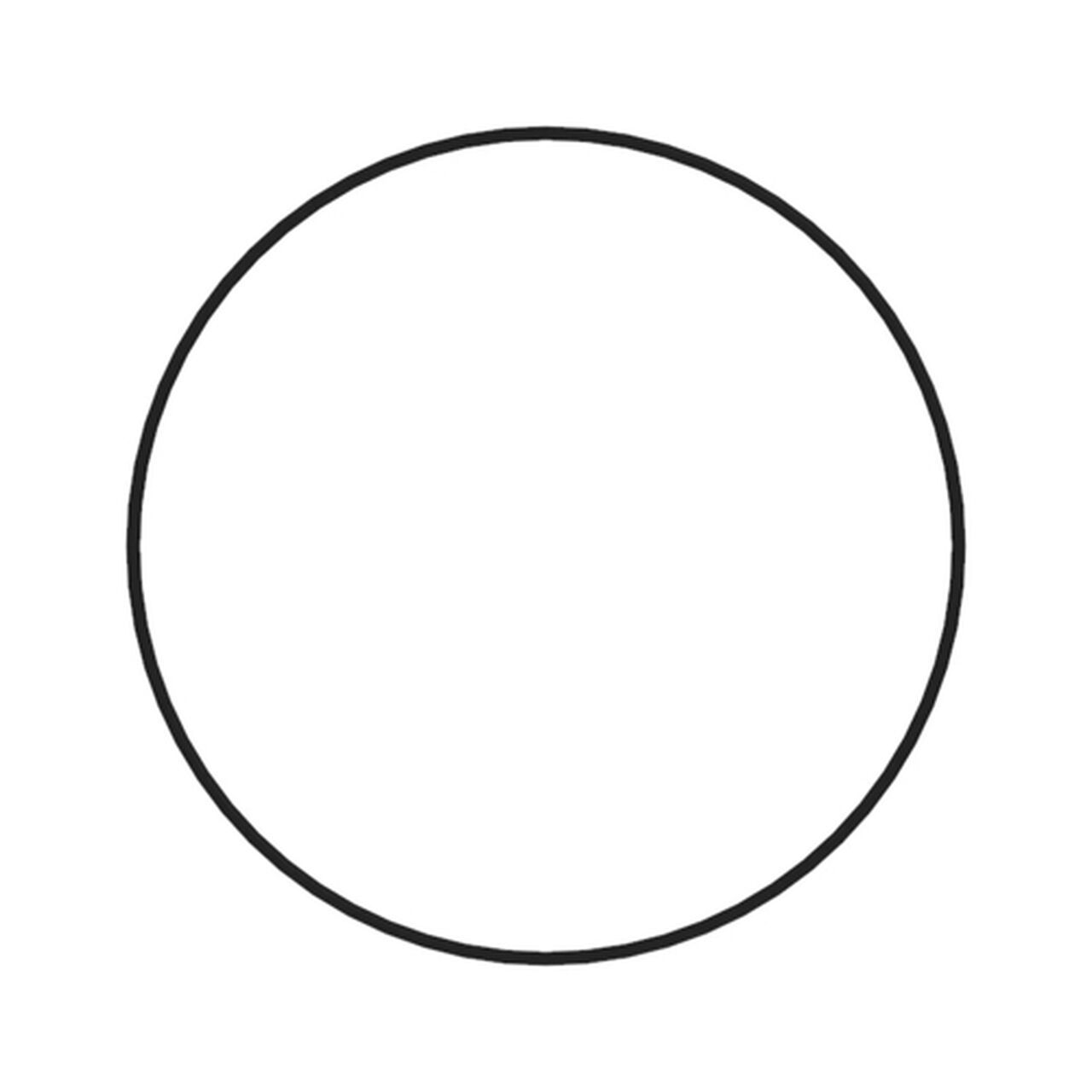 O-Ring - E66413,  image number 3