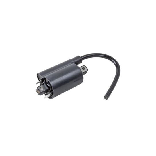 Flywheel Ignition Coil - AM120732,  image number 0