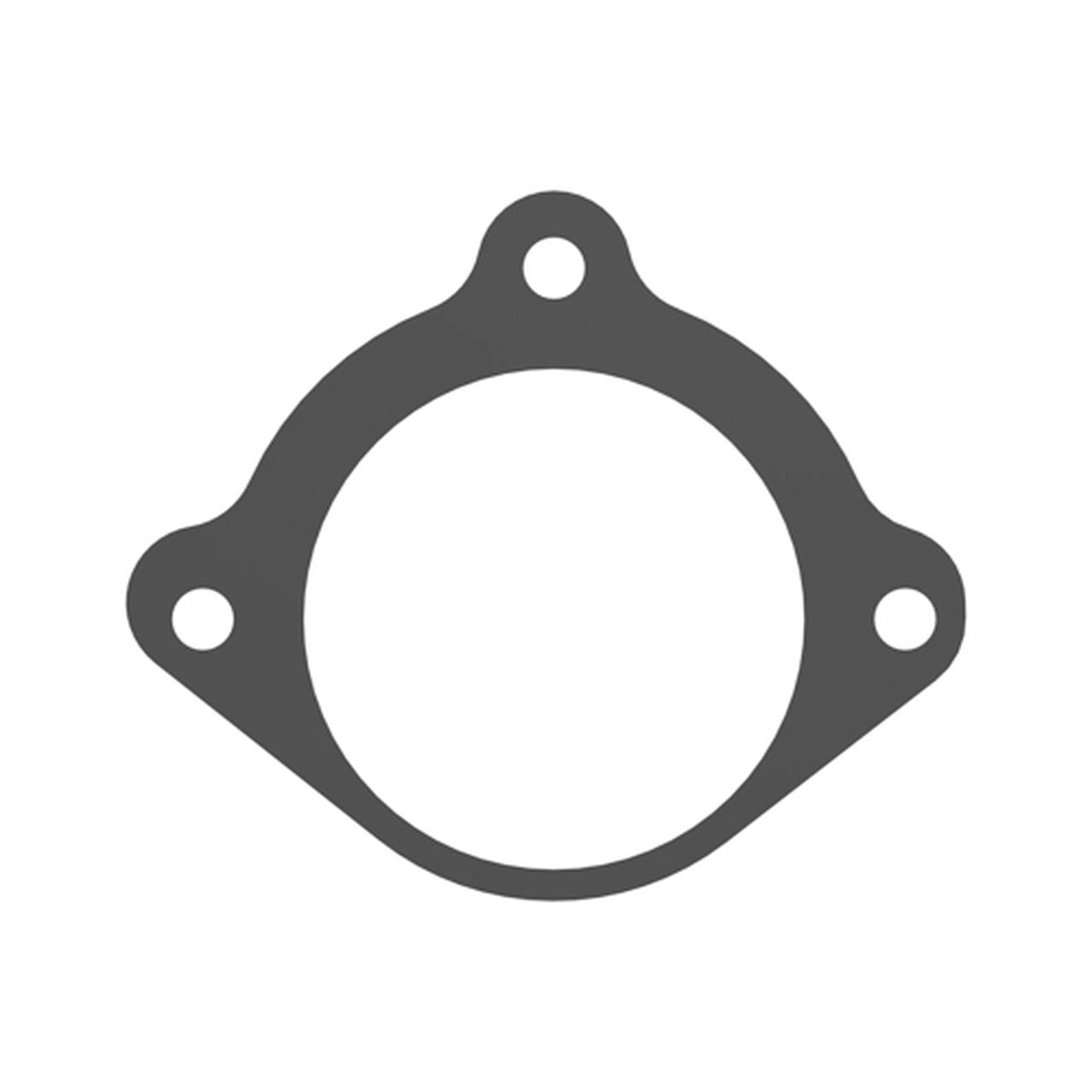 Starter Gasket - R53108,  image number 2