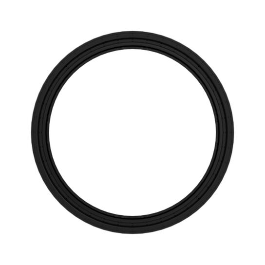 Seal - RE590718,  image number 4