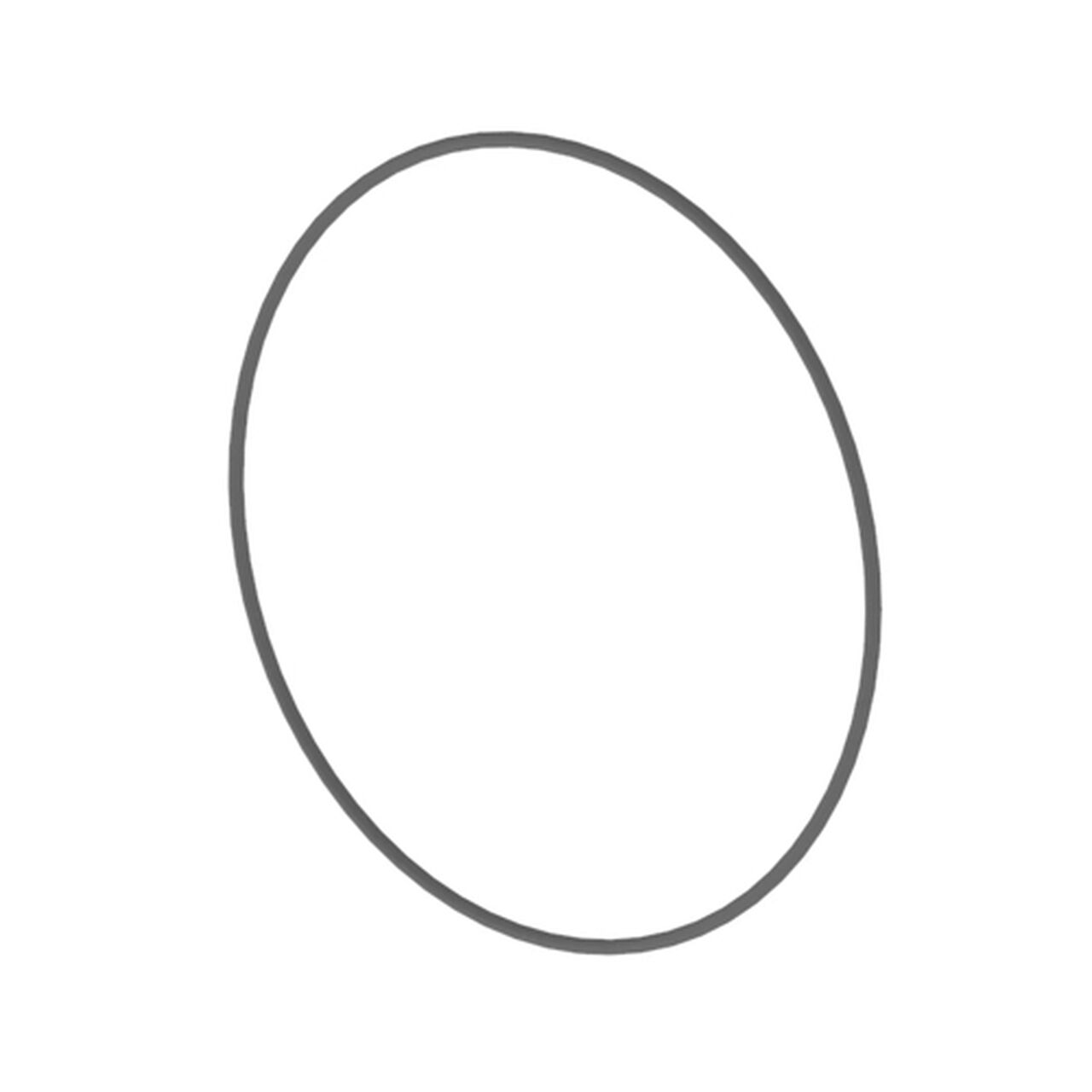 O-Ring, Mount Flange - T155729,  image number 3