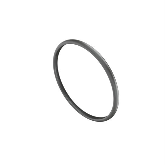 Sealing Ring - R528237,  image number 1