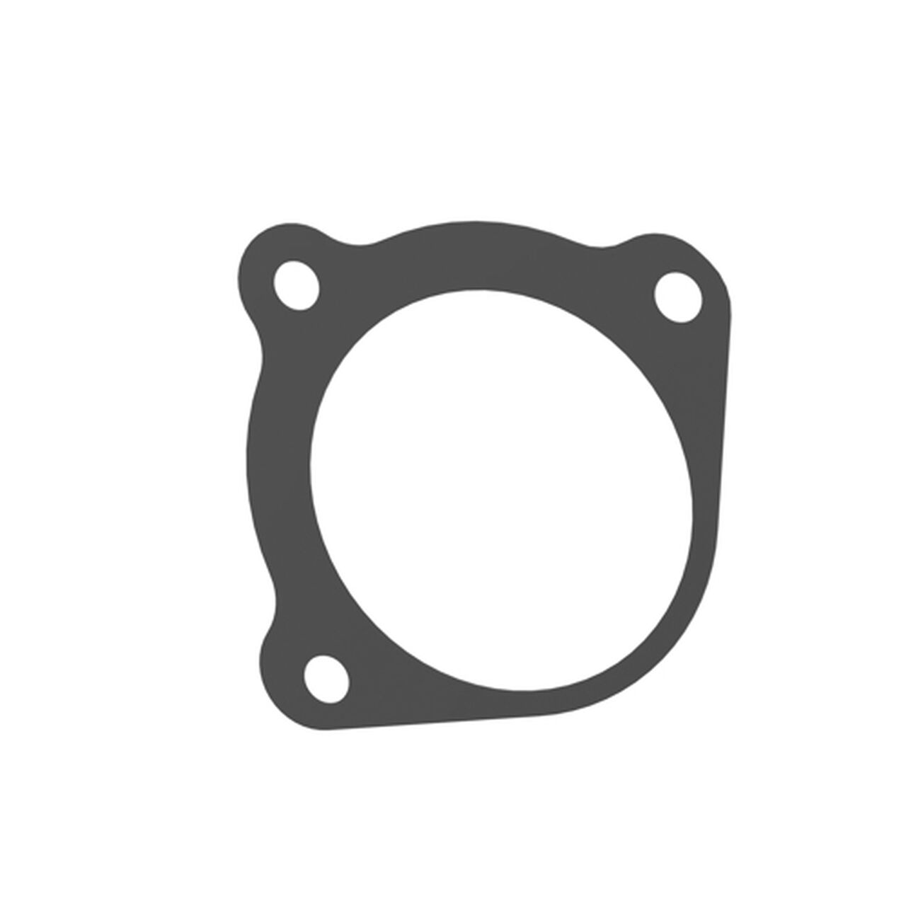 Starter Gasket - R53108,  image number 3