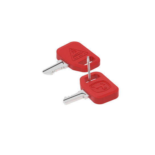 Keys (Set of 2) - AT195302,  image number 0
