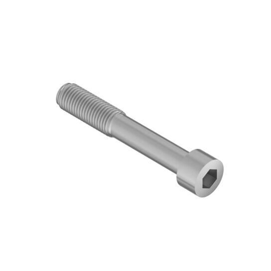 Screw M10 x 70 - 19M8131,  image number 1