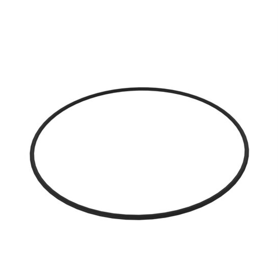 O-Ring, Mount Flange - T155729,  image number 0