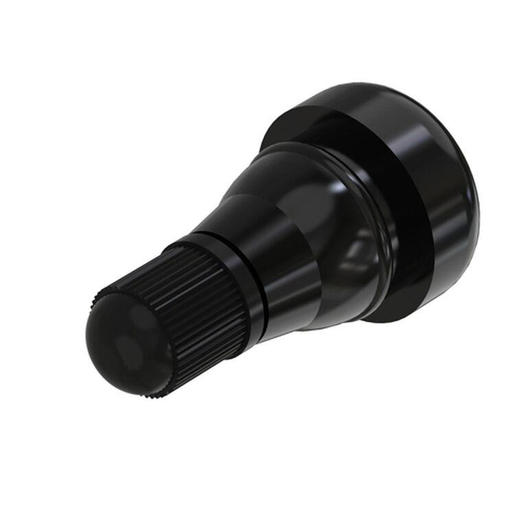 Tire Valve Stem - AM30795, 