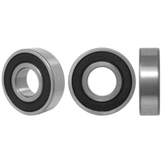Cylindrical Roller Ball Bearing - A-204PP-I,  image number 0
