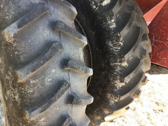  800 - 418606,  image number 6