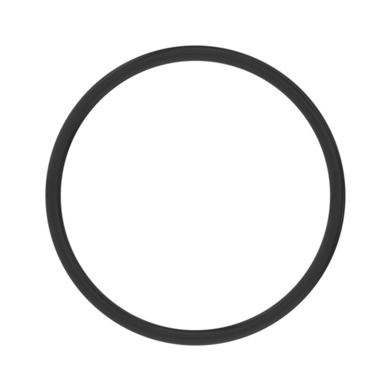 O-Ring - A5598R,  image number 0