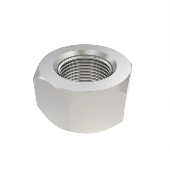 Special Hex Nut - R114125,  image number 0