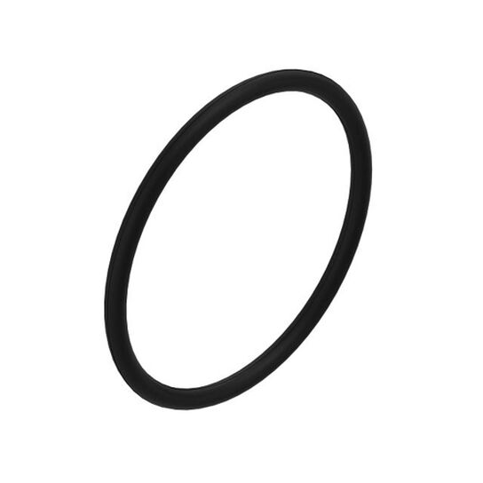 O-Ring - R132025,  image number 1