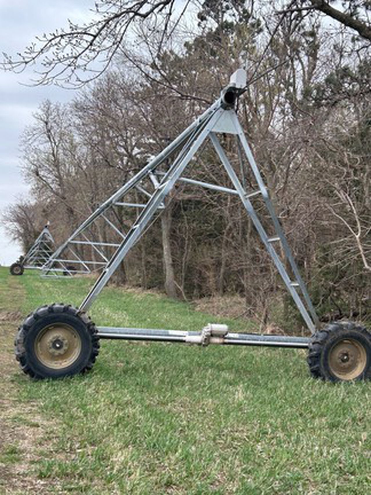 2006 8000 - 439645,  image number 6