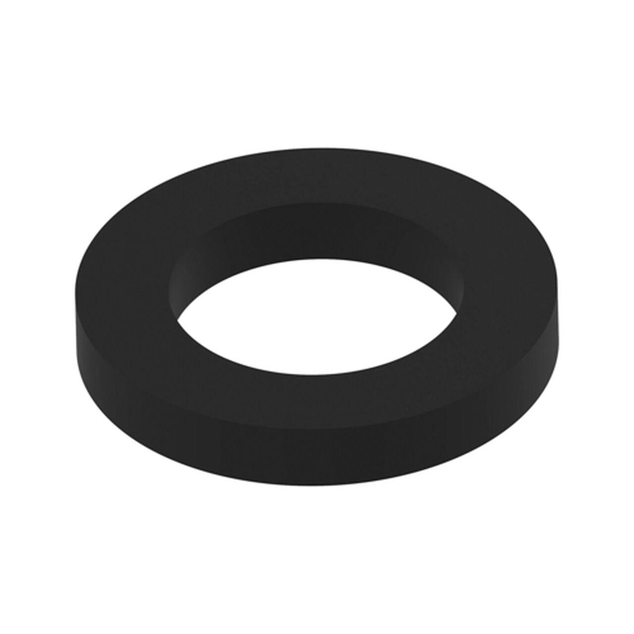 Viton Gasket 2" - PM150GV,  image number 0