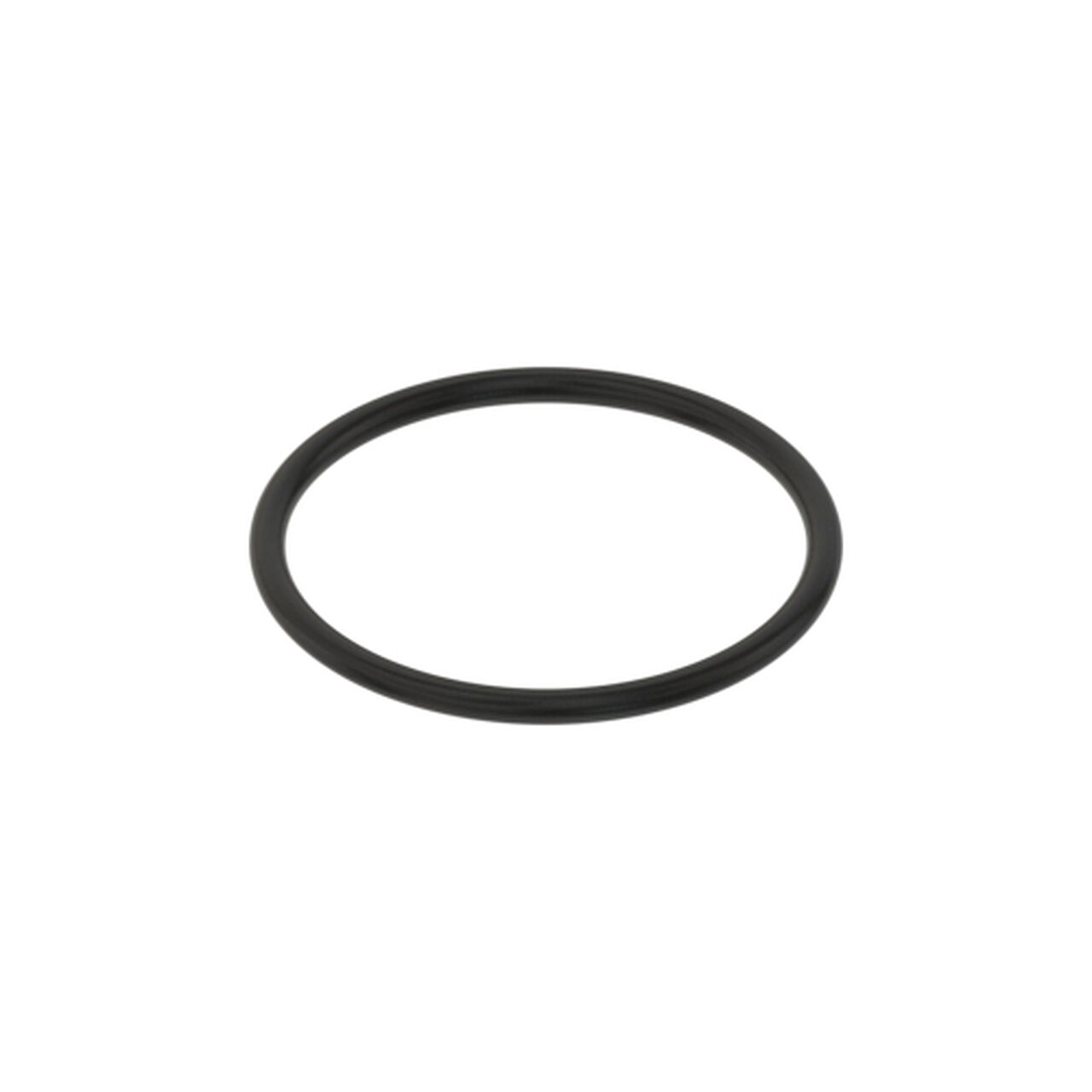 Strainer Gasket - PMLST100-G,  image number 0