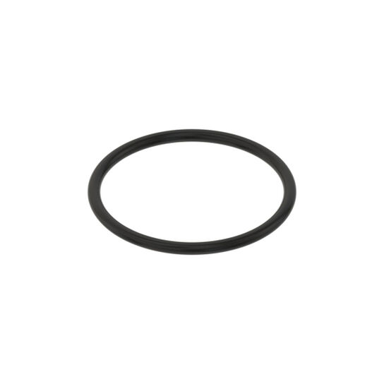 Strainer Gasket - PMLST100-G,  image number 0