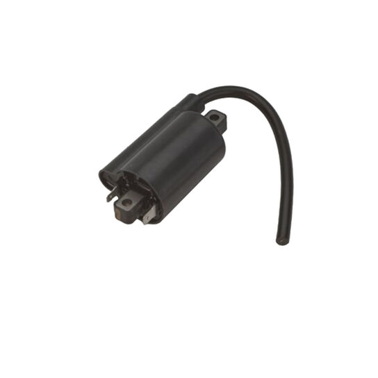 Flywheel Ignition Coil - AM120732,  image number 1