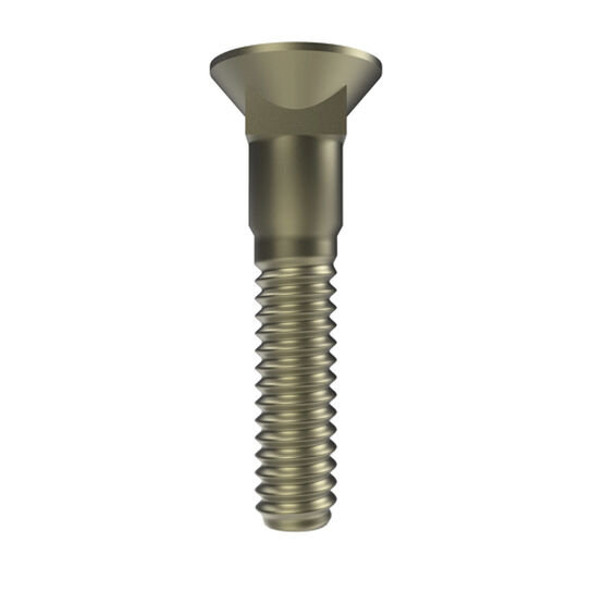 Bolt 7/16in x 2-1/4in - 10H1160,  image number 0