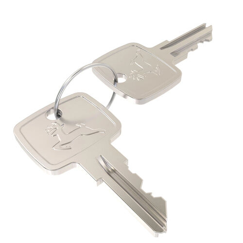 Ignition Keys - AR51481 | John Deere | AKRS