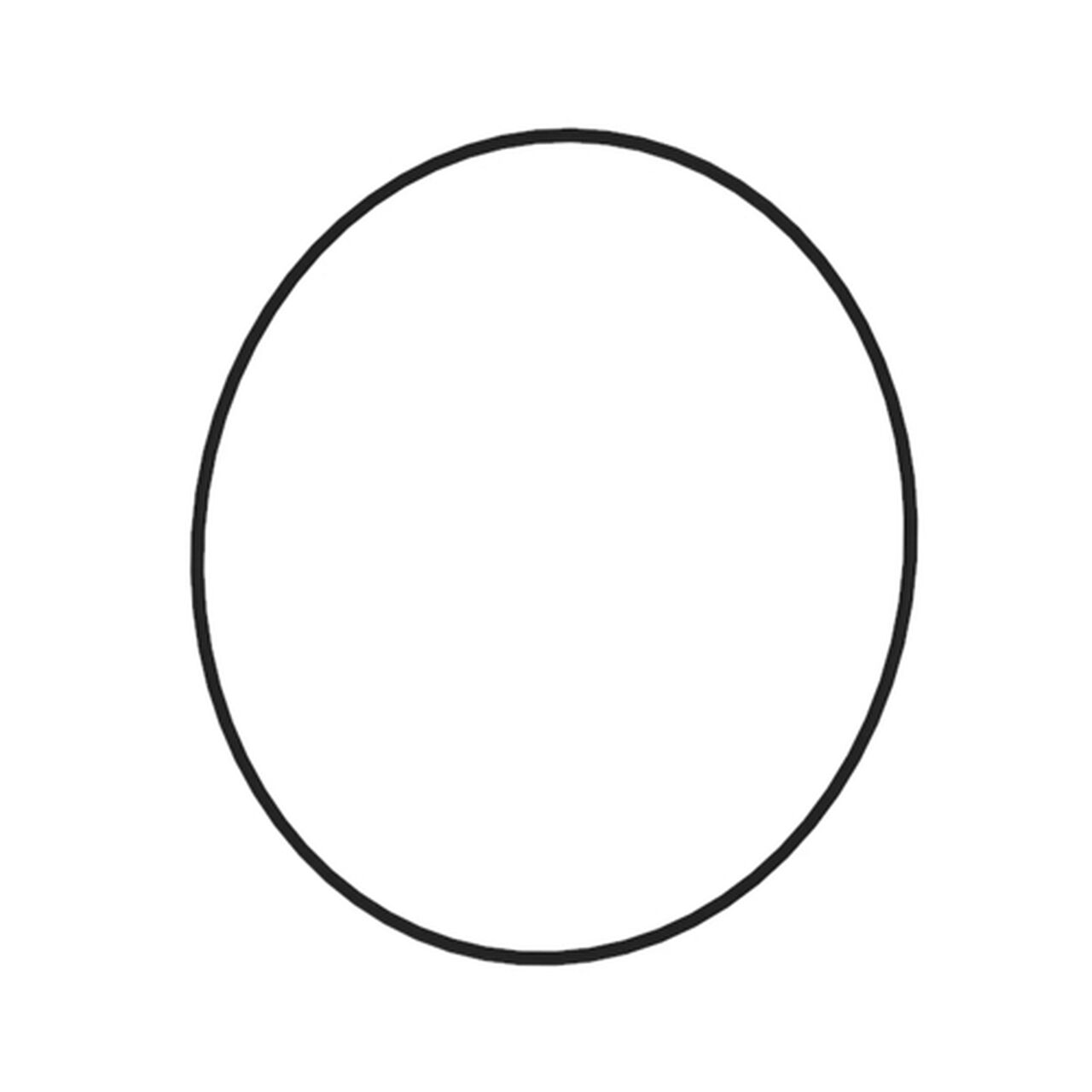 O-Ring, 3.53 X 253.59 - N316797,  image number 0