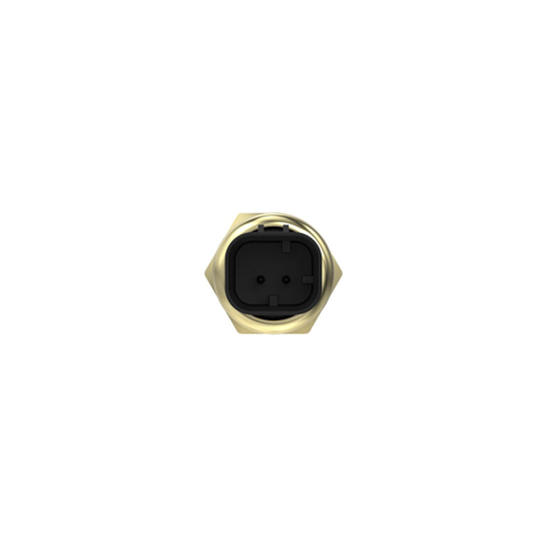 Temperature Sensor, Coolant - DZ123024, 