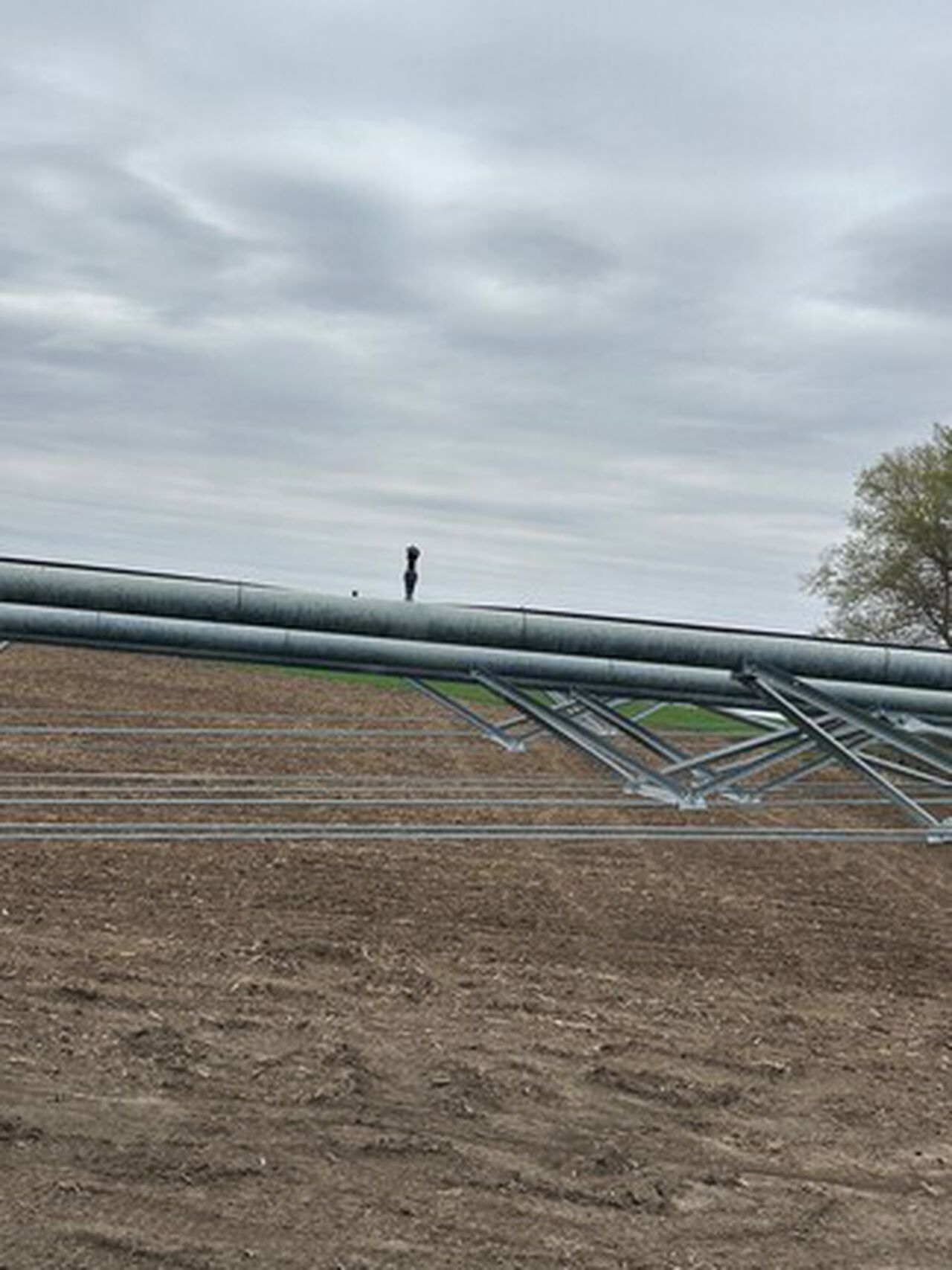 2006 8000 - 439645,  image number 12