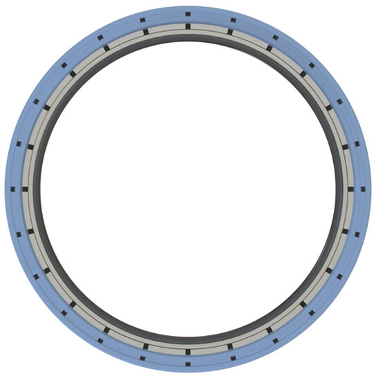 Rear Crankshaft Seal - DZ111672,  image number 2
