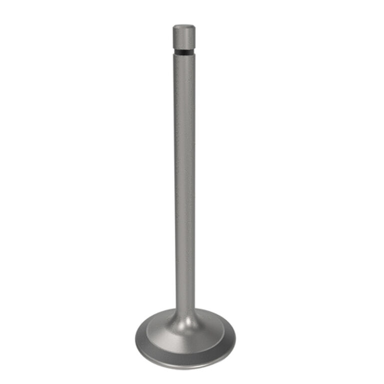 Engine Intake Valve - R504060, 