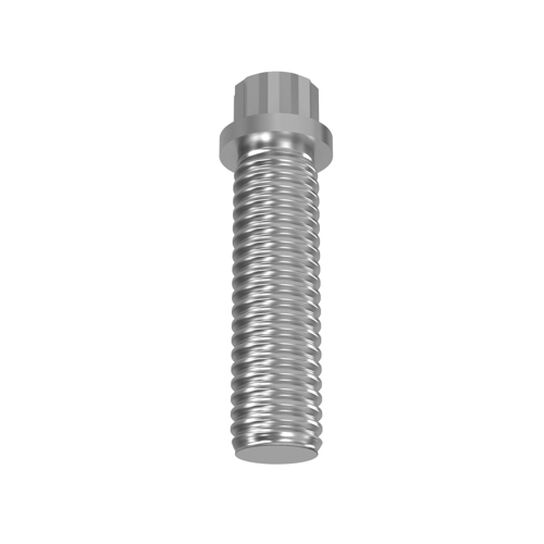 Screw - R100357,  image number 2