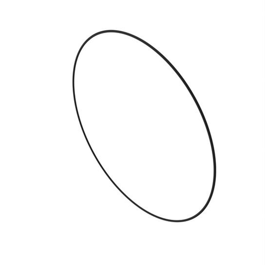 O-Ring - R87047,  image number 1