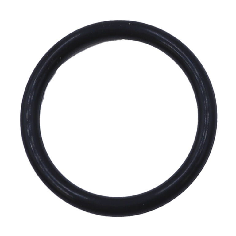 Packing O-Ring - R123145, 