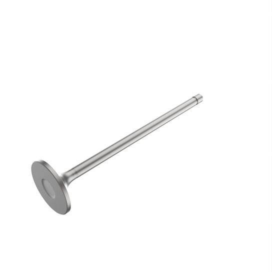 Intake Valve - R520223,  image number 1