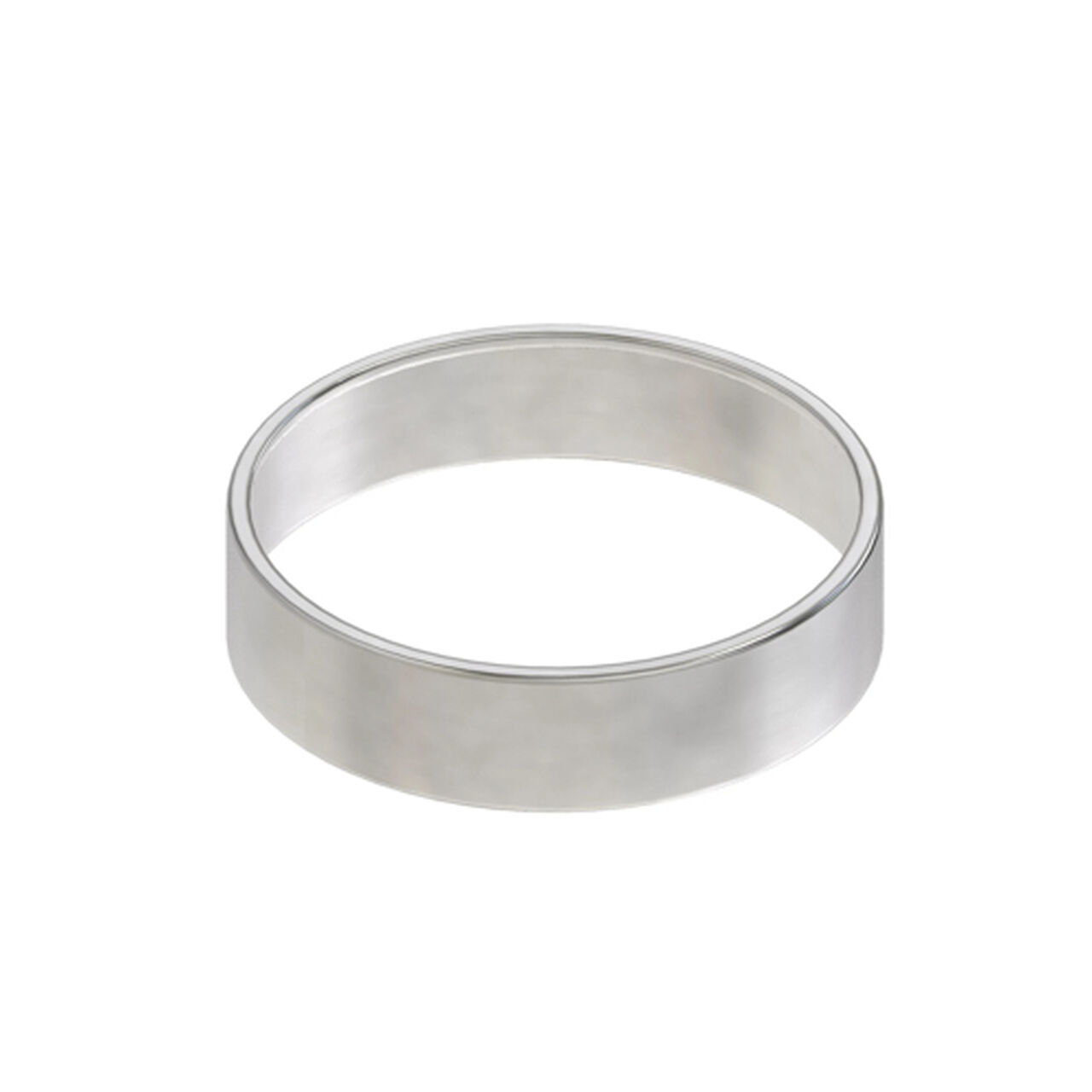 Straight Roller Bearing Race - R84061,  image number 0