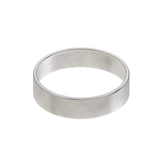Straight Roller Bearing Race - R84061,  image number 0