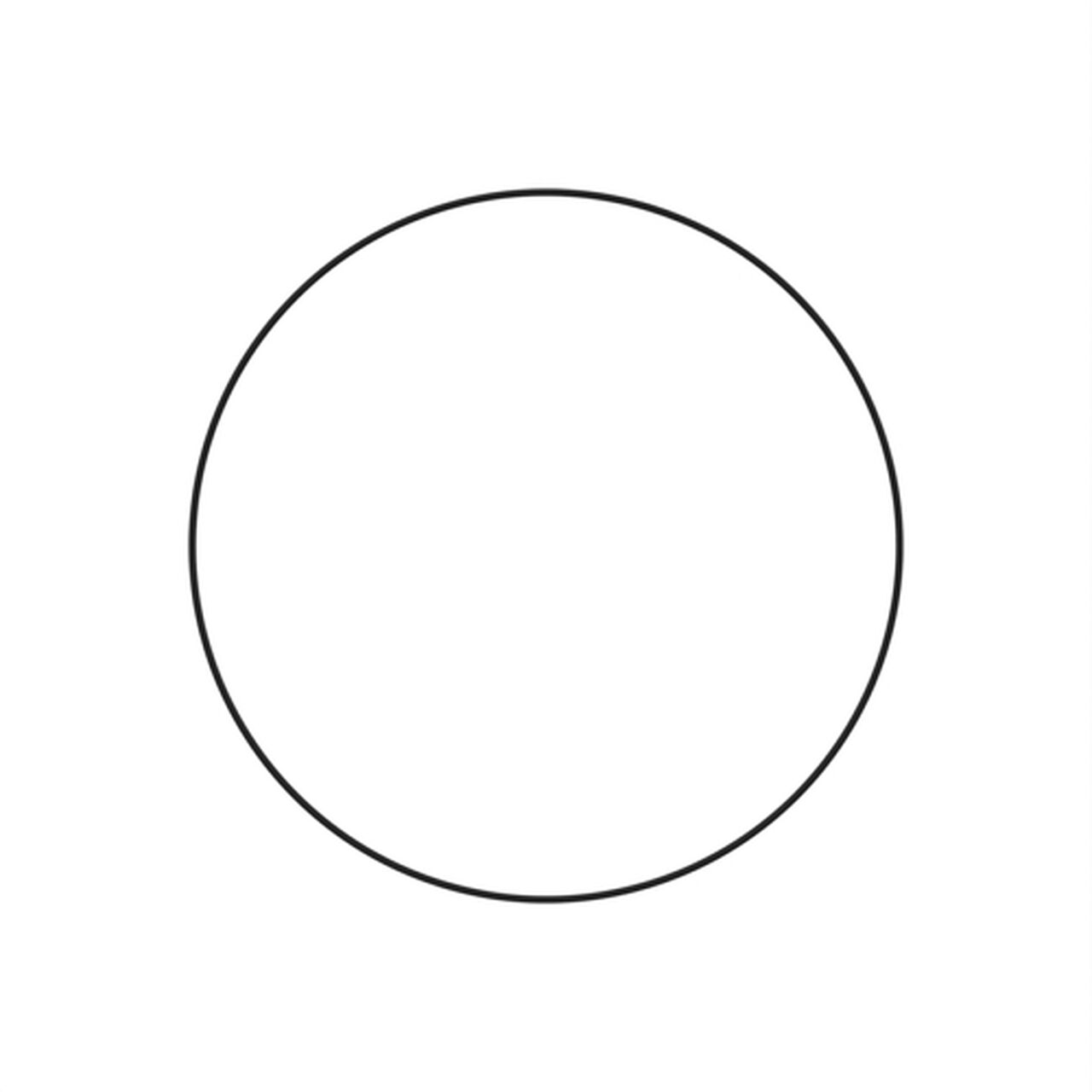O-Ring - R87047,  image number 2