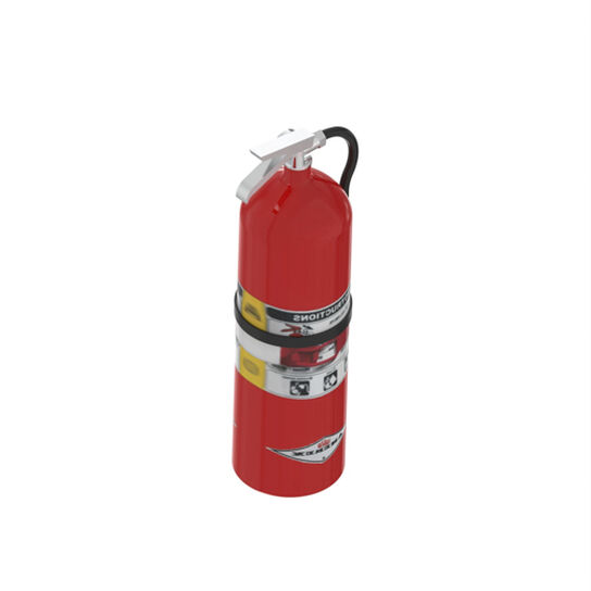 Dry Chemical Fire Extinguisher 10 LB - AT184159,  image number 3