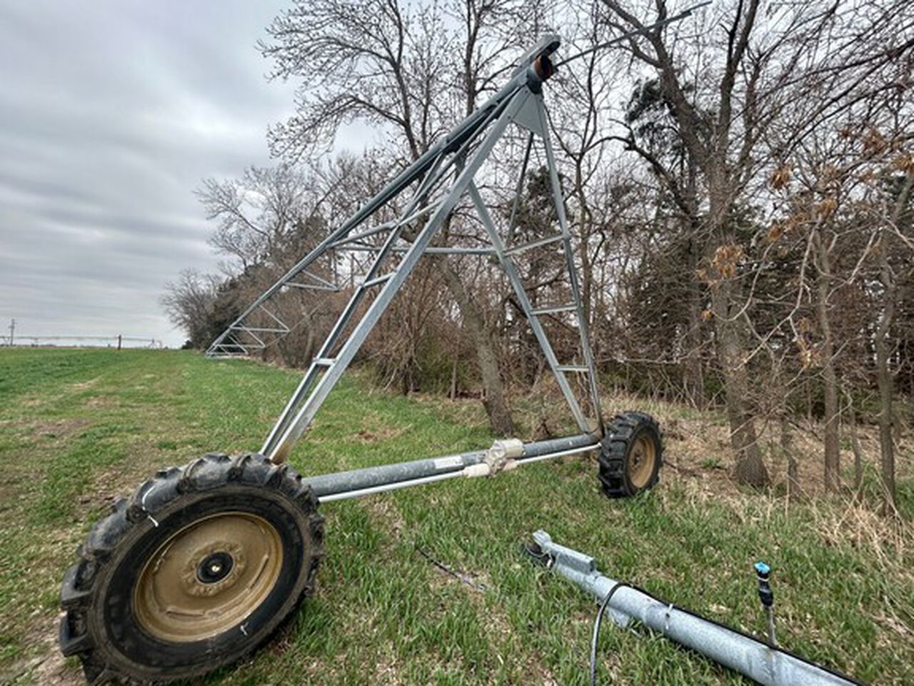 2006 8000 - 439645,  image number 2