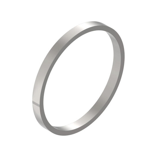 Strainer, Gasket Fits 1-1/2-In. - PMLS150-G,  image number 0