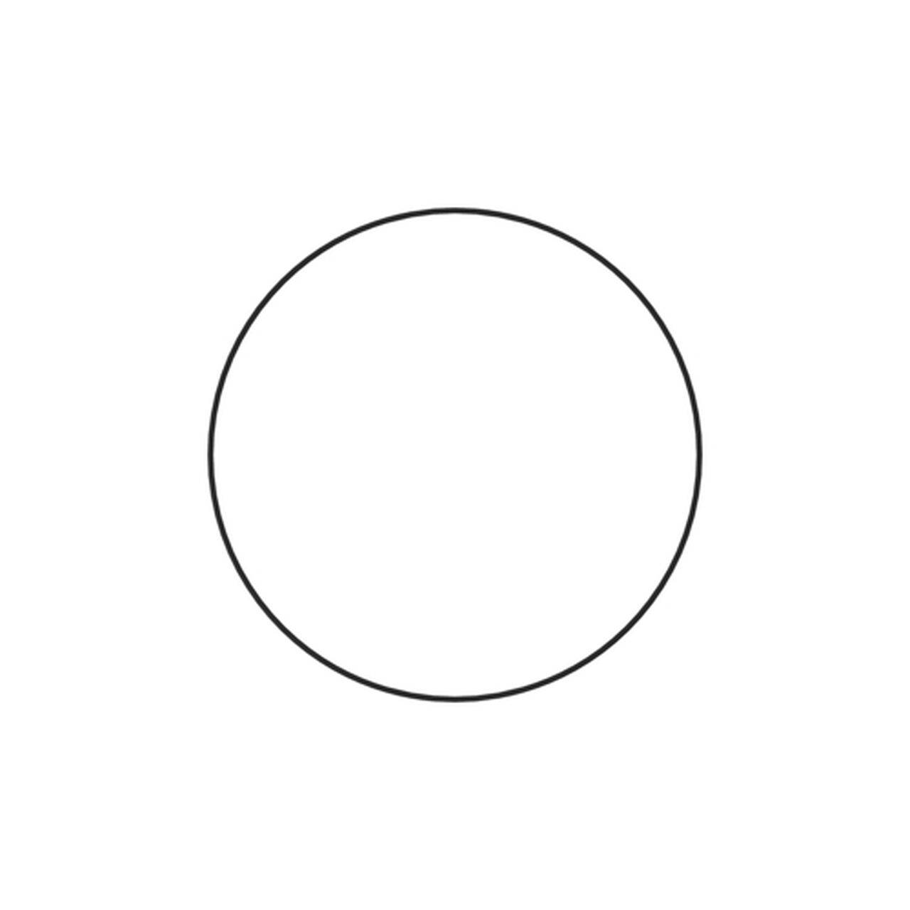 O-Ring 299 X 3,75 Fkm 598 - L56246,  image number 3