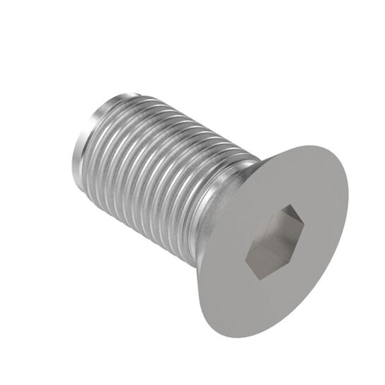 Screw-Recessed 1/2in x 1in - N103236,  image number 2