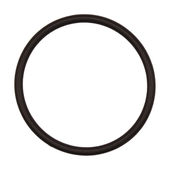 O-Ring - P50631,  image number 0