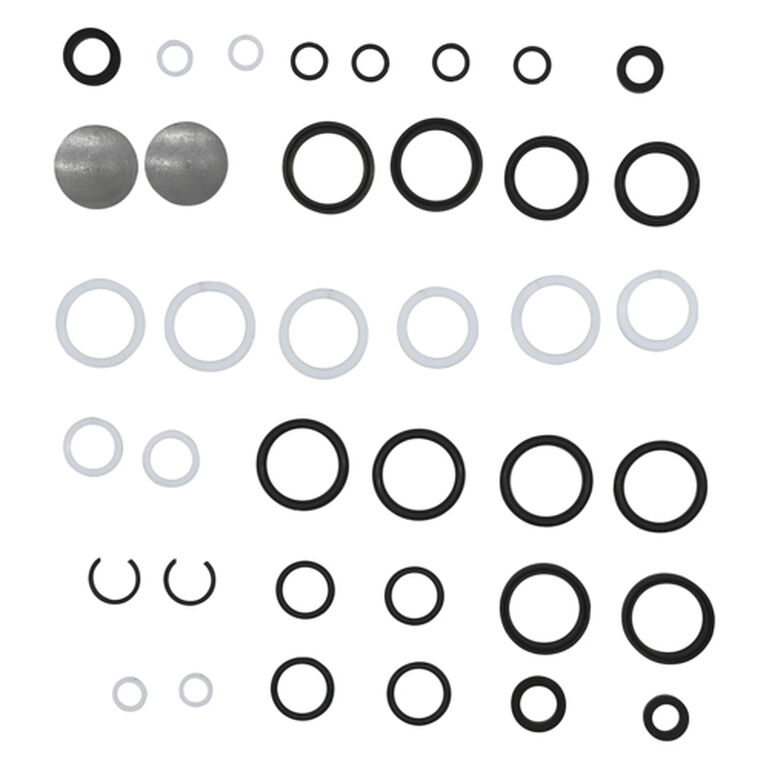 SCV Coupler Overhaul Kit - AR82570, 