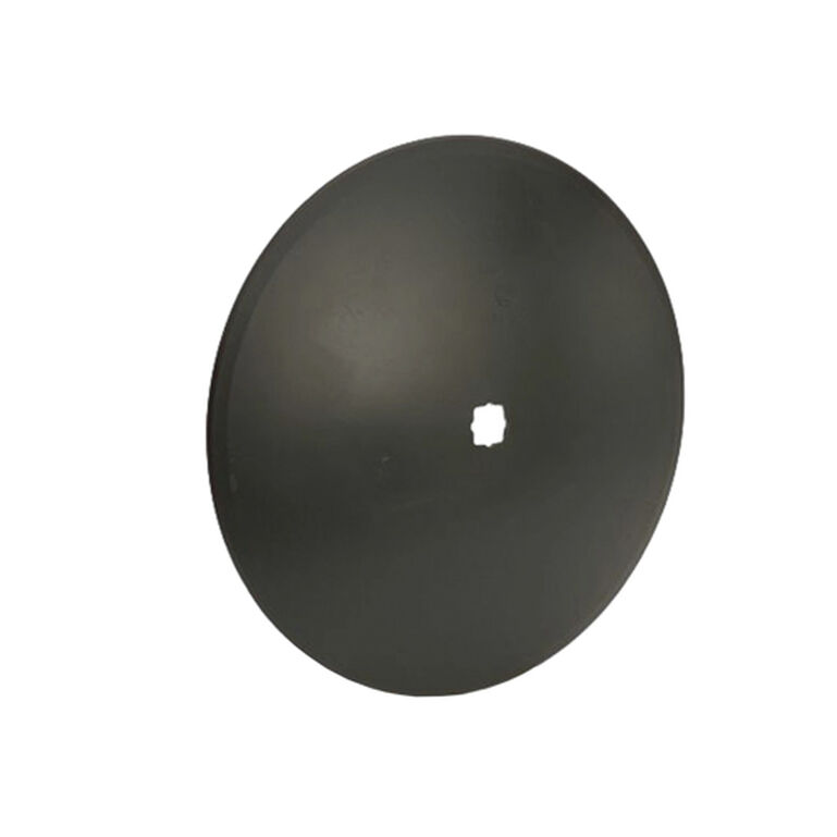Disk 20in - B31318, 