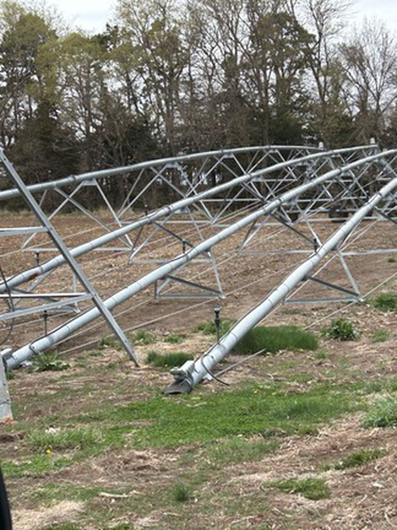 2006 8000 - 439645,  image number 8