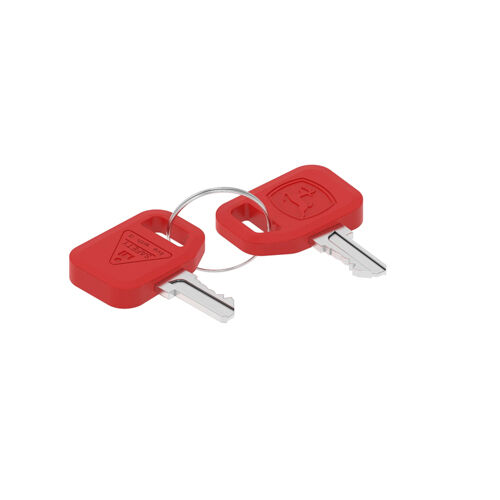 Keys (Set of 2) - AT195302 | John Deere | AKRS